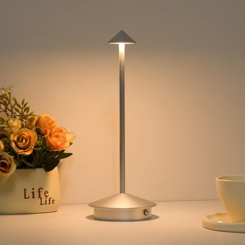 Modern Simple Creative LED Night Light | USB Charging Bedside Desk Lamp with Battery - Atmosphere Lighting for Restaurant & Home