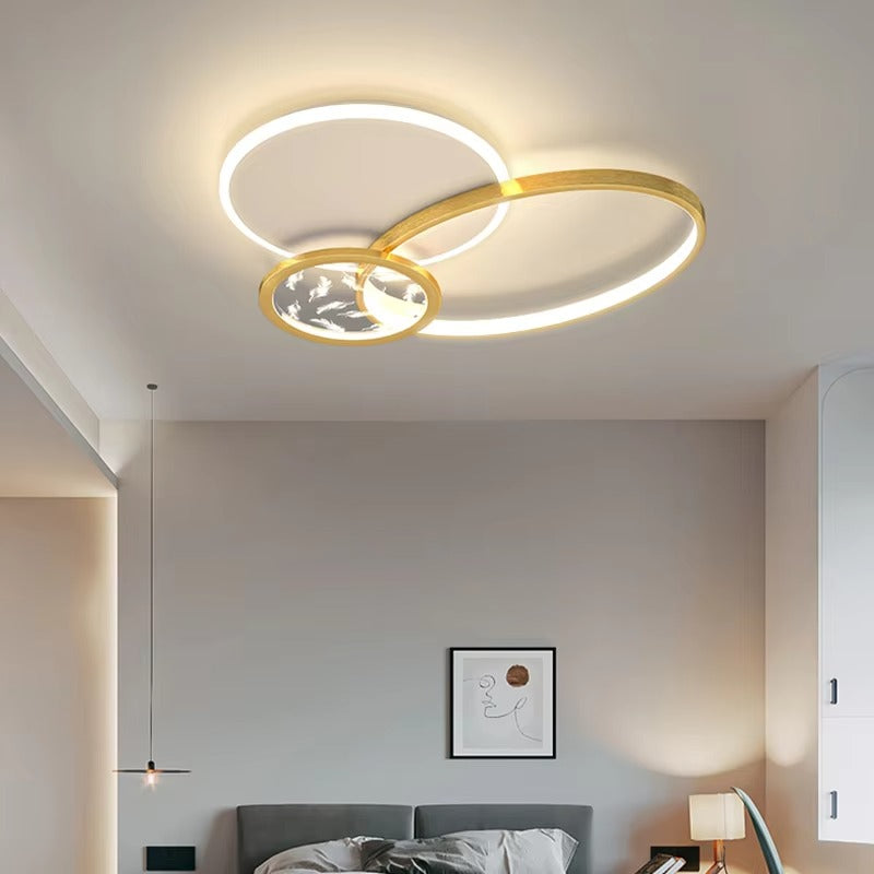 Modern Acrylic Ceiling Lights | LED Smart Home Lighting for Bedroom & Living Room
